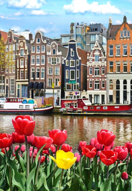 paysage hollandais